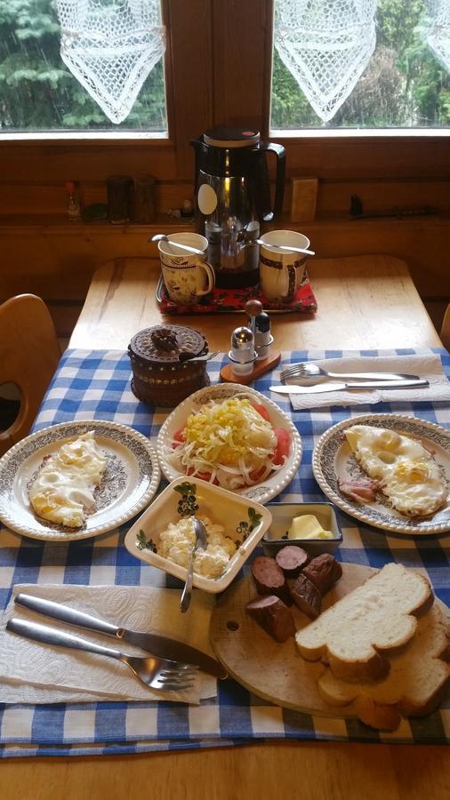 Camping Harenda Pokoje Goscinne I Domki Закопане Экстерьер фото
