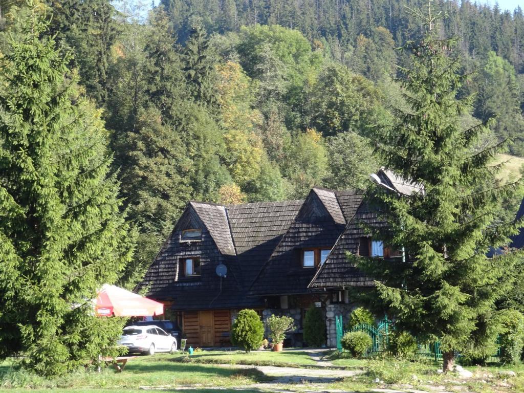 Camping Harenda Pokoje Goscinne I Domki Закопане Номер фото
