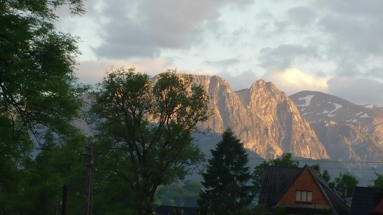 Camping Harenda Pokoje Goscinne I Domki Закопане Экстерьер фото